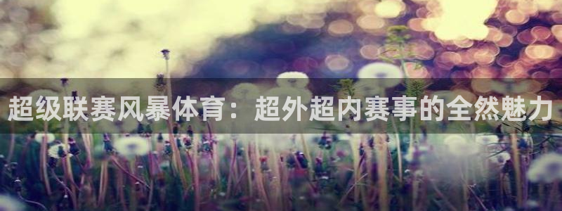 857足球直播平台：超级联赛风暴体育：超外超内赛事的全然魅力