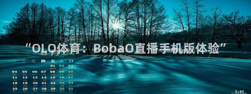 857足球免费直播：“OLO体育：BobaO直播手机版体验”
