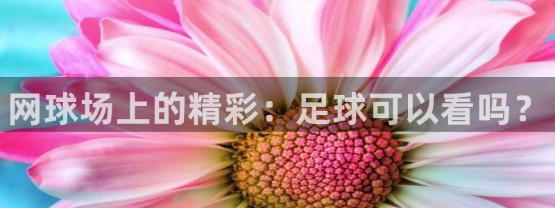 857足球体育直播：网球场上的精彩：足球可以看吗？