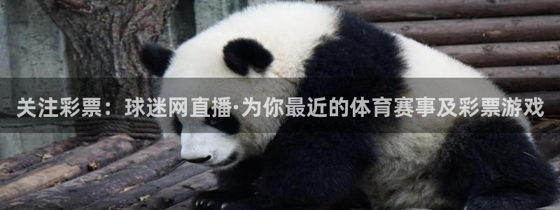 857足球比赛直播：关注彩票：球迷网直播·为你最近的体育赛事及彩票游戏