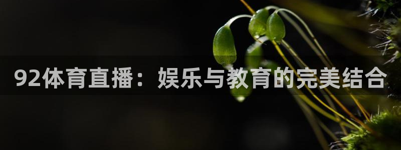 857直播体育免费平台：92体育直播：娱乐与教育的完美结合