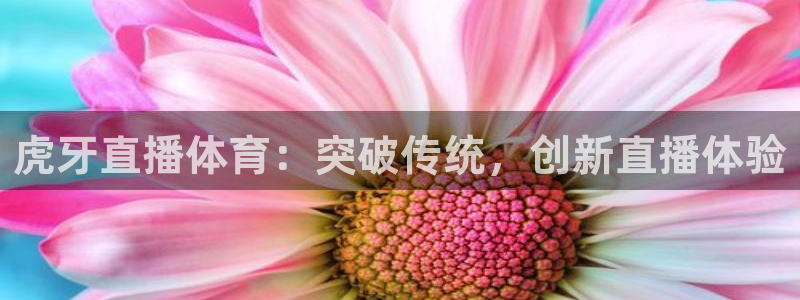 857足球免费直播：虎牙直播体育：突破传统，创新直播体验