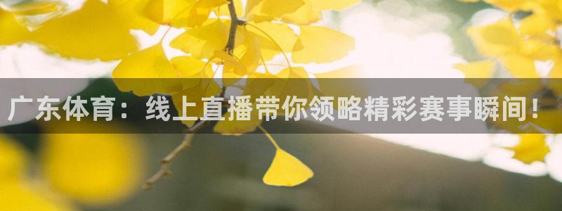 857篮球体育直播：广东体育：线上直播带你领略精彩赛事瞬间！