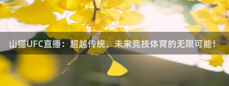 857直播足球免费直播：山猫UFC直播：超越传统，未来竞技体育的无限可能！