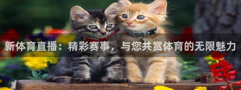 857 直播：新体育直播：精彩赛事，与您共赏体育的无限魅力
