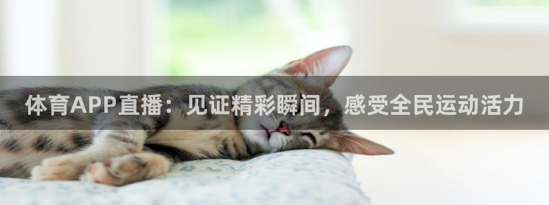 857nba篮球直播：体育APP直播：见证精彩瞬间，感受全民运动活力