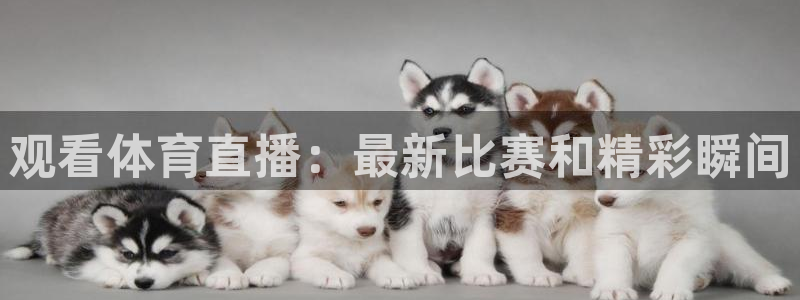 857足球直播高清完整版：观看体育直播：最新比赛和精彩瞬间
