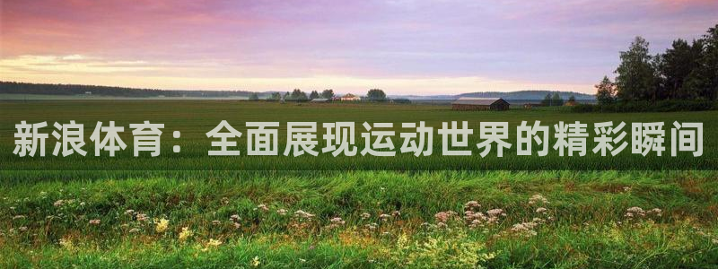857体育赛事直播免费观看：新浪体育：全面展现运动世界的精彩瞬间