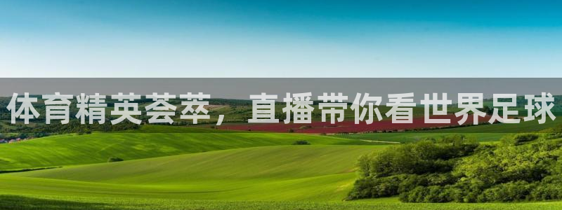 857直播体育app：体育精英荟萃，直播带你看世界足球